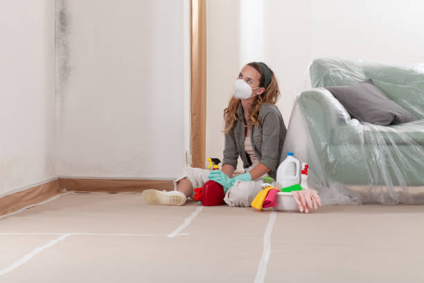 Reliable Mold Remediation contractor in Clearwater, MN by WQB Mold Removal